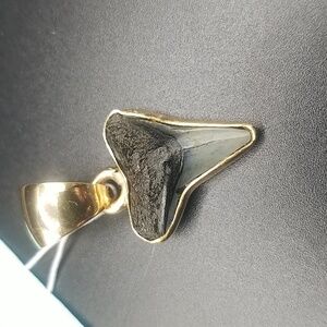 Real Shark Tooth Fossil Gold Pendant